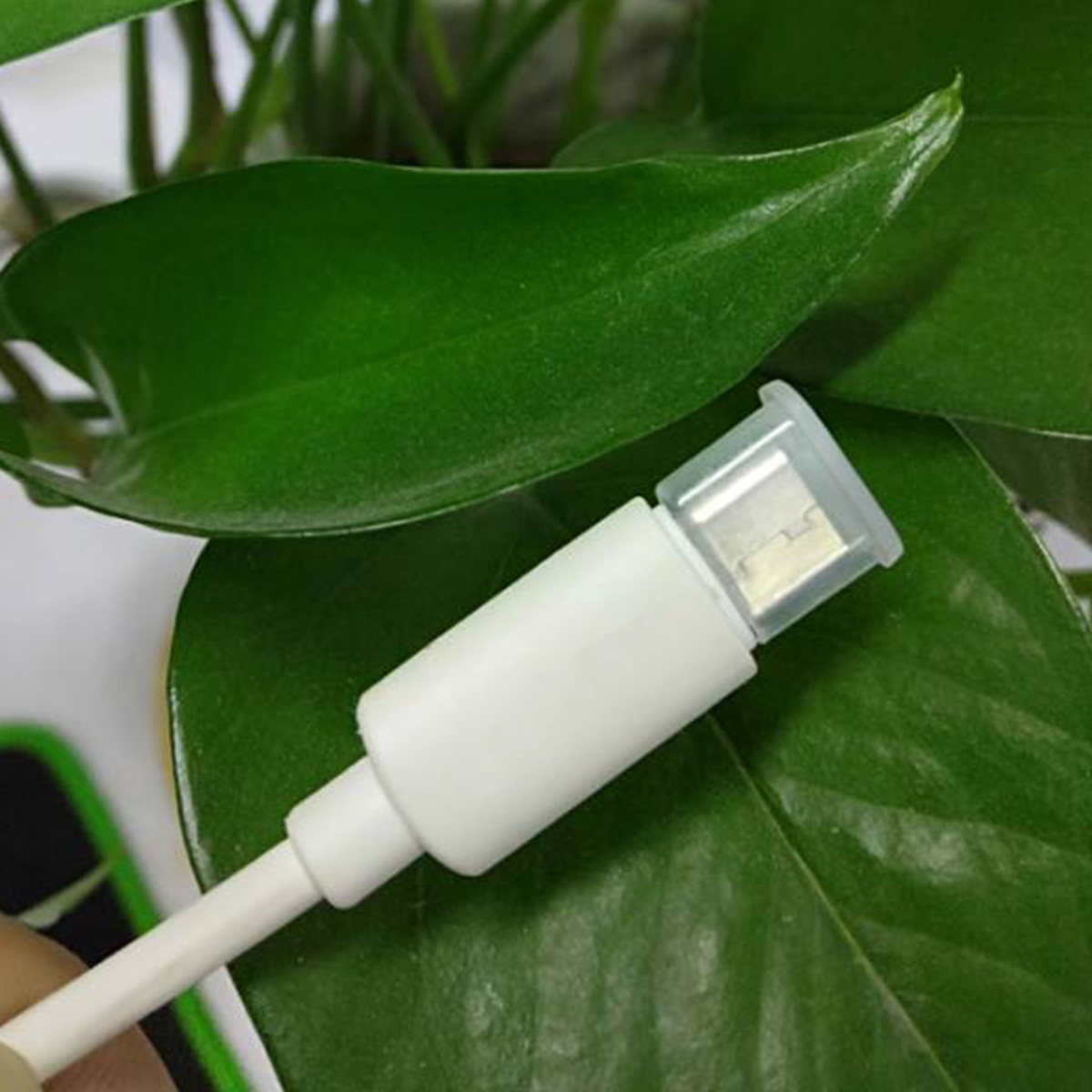 Tech Accessories For Christmas - Dust Plug Usb Plugs Phone Charging